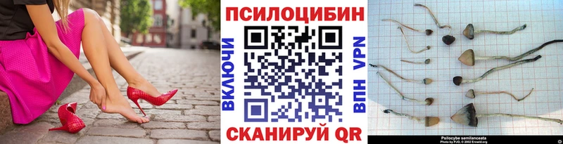 Галлюциногенные грибы Magic Shrooms  Купить  Карабулак 